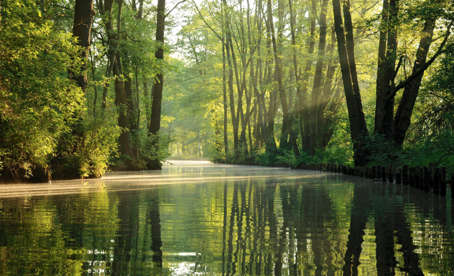 Au fil de l'eau