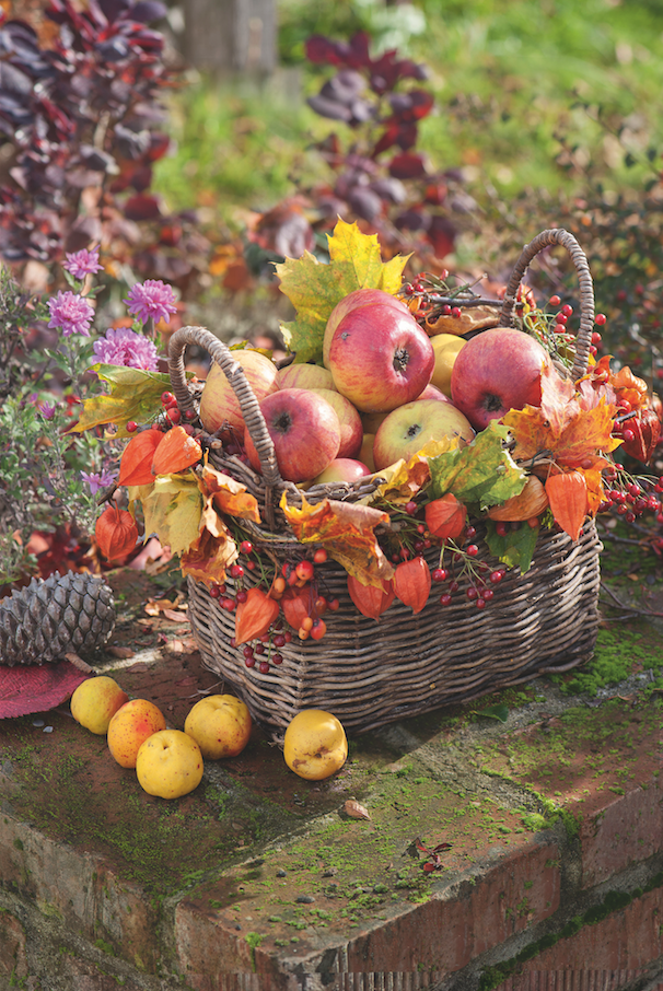 La Deco D Automne Une Touche De Saison A Croquer