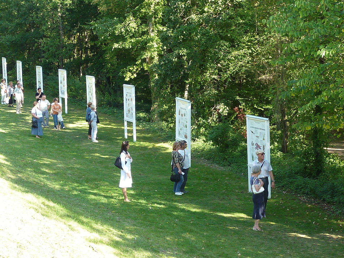 le festival de la forêt et du bois