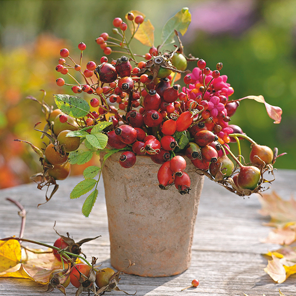 décoration pour l'automne