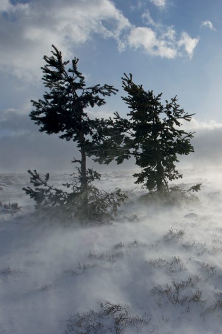 randonnée en Auvergne