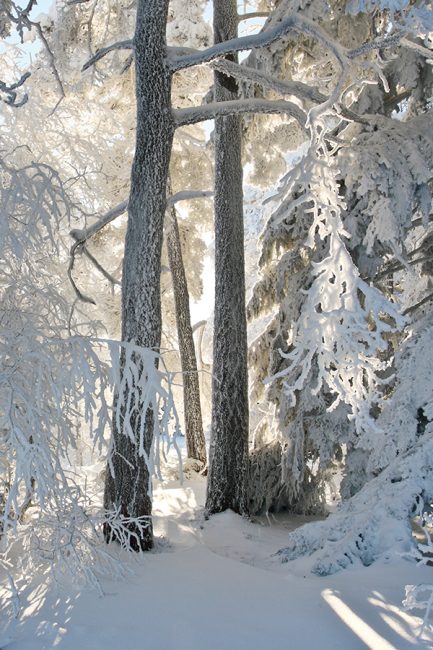 randonnée en Auvergne