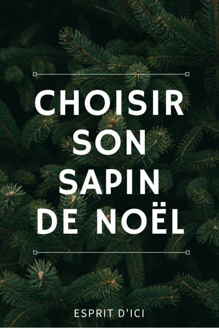 conseils pour bien choisir son sapin de Noël