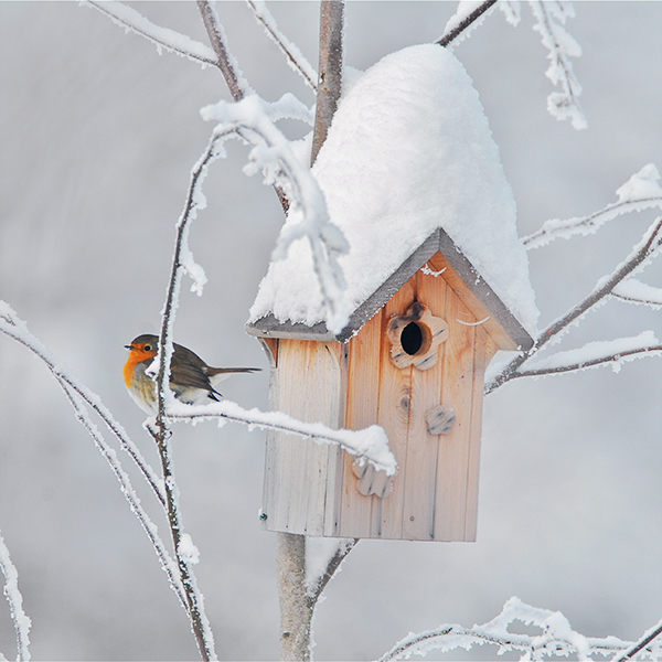 fabriquer un nichoir pour oiseaux