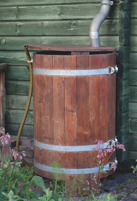 Cabane de jardin 1