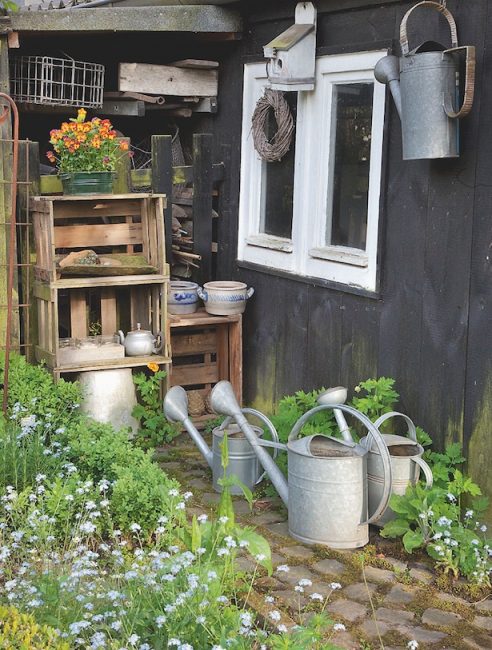 Cabane de jardin 3