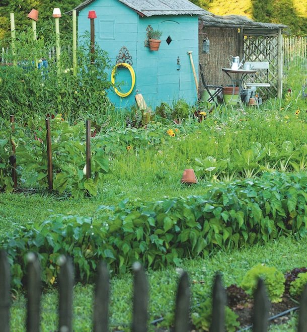 Cabane de jardin