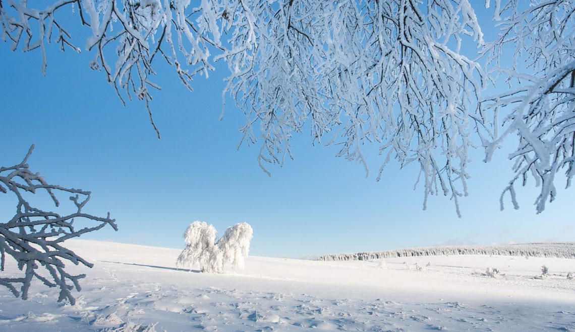 La nature en hiver 4