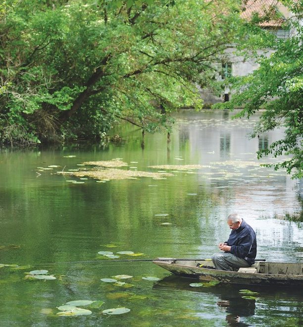 Marais poitevin au bord de l'eau