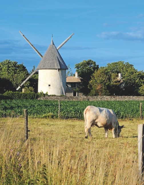 Marais poitevin voyage