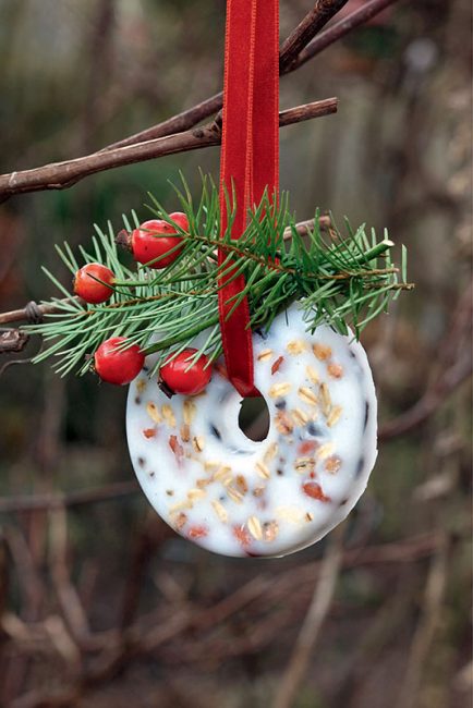 tuto pour faire des mangeoires d'oiseaux pour l'hiver