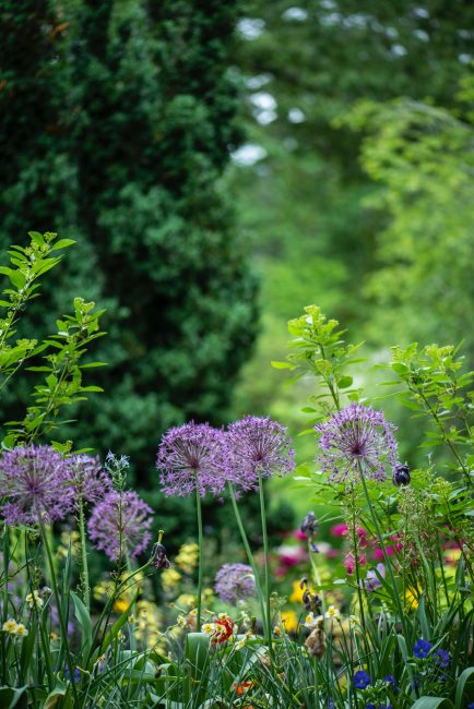 conseils pour entretenir son jardin sans produits chimiques