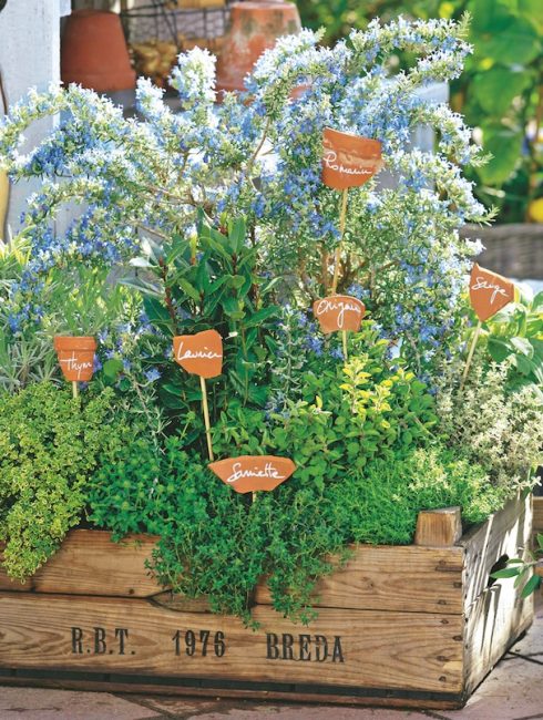 Jardin : comment fabriquer des étiquettes pour le jardin