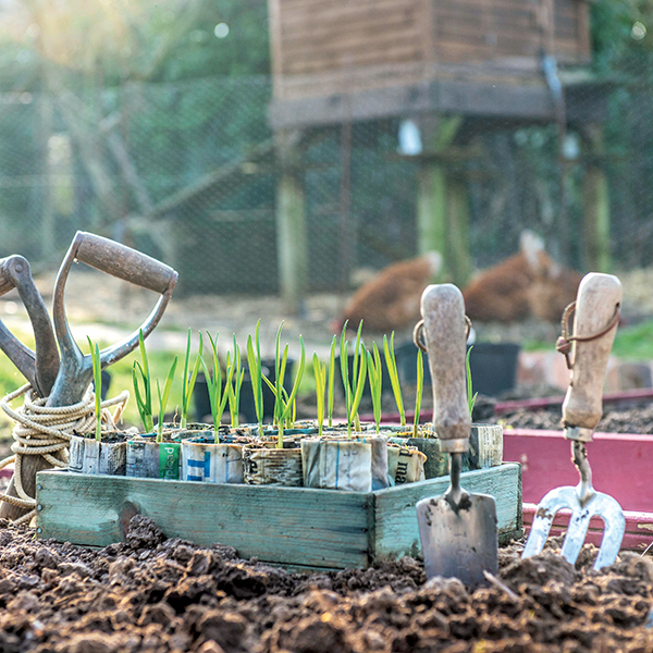 que faire au potager en février ?