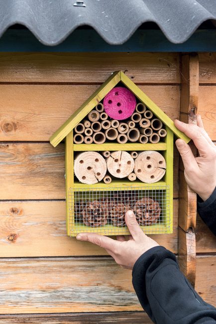 fabriquer un hôtel à insectes pour le jardin