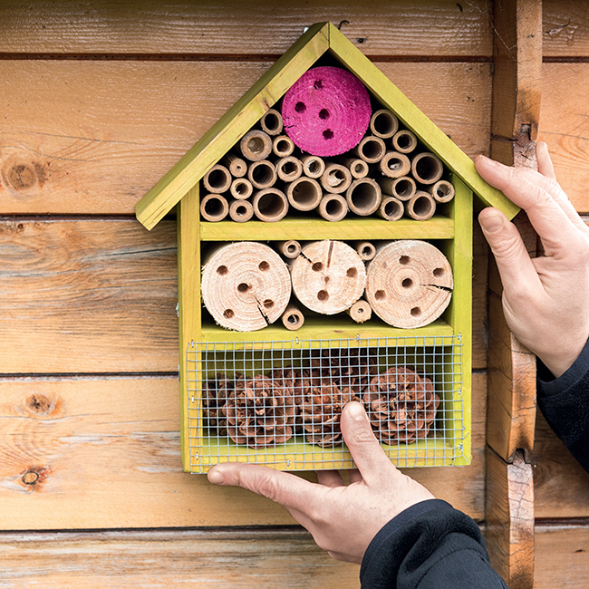 Tutoriel pour fabriquer un hôtel à insectes