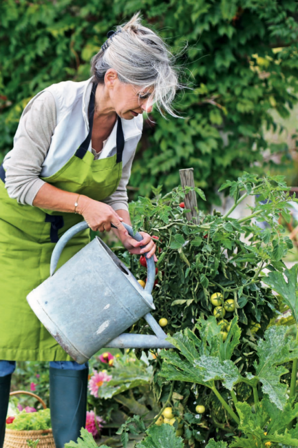 conseils pour cultiver son potager