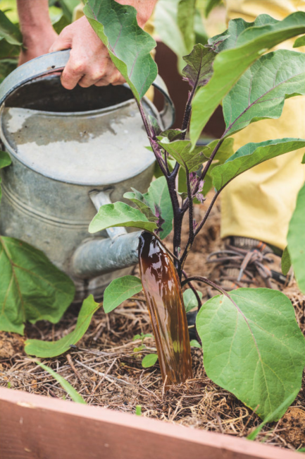 comment et pourquoi utiliser les engrais au jardin et au potager