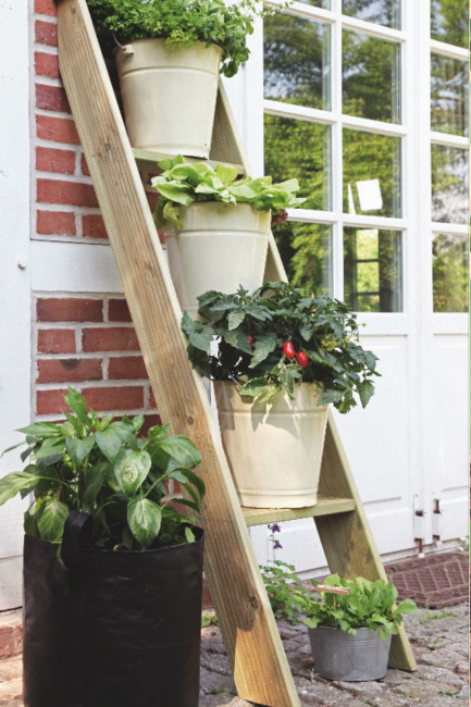 Astuces pour cultiver des légumes sur un balcon dans un potager urbain