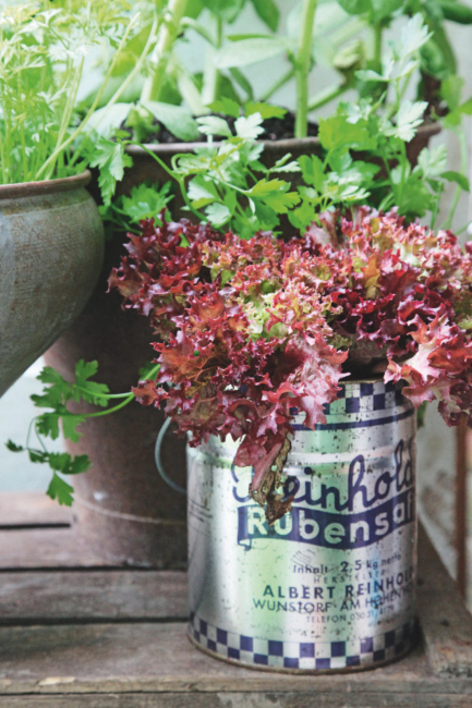 Astuces pour cultiver des légumes sur un balcon dans un potager urbain