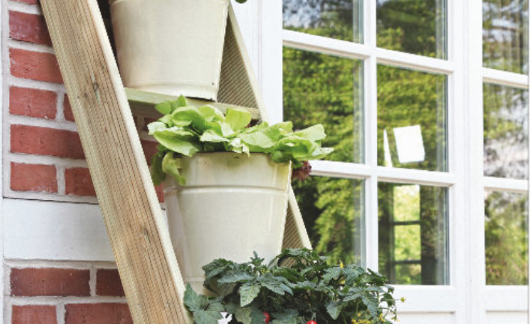 Astuces pour cultiver des légumes sur un balcon dans un potager urbain