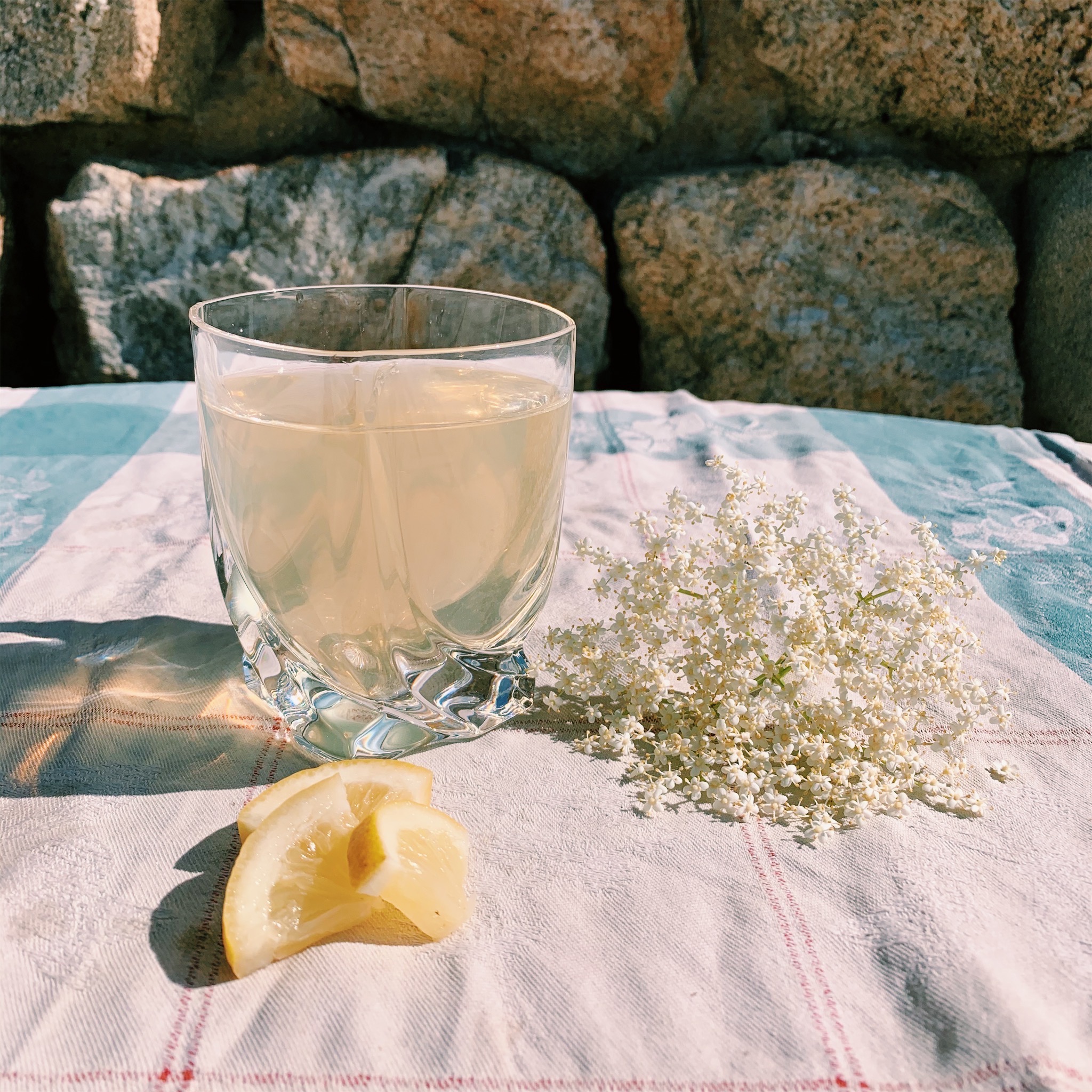 Sirop de sureau : recette facile de sirop de sureau à faire chez soi