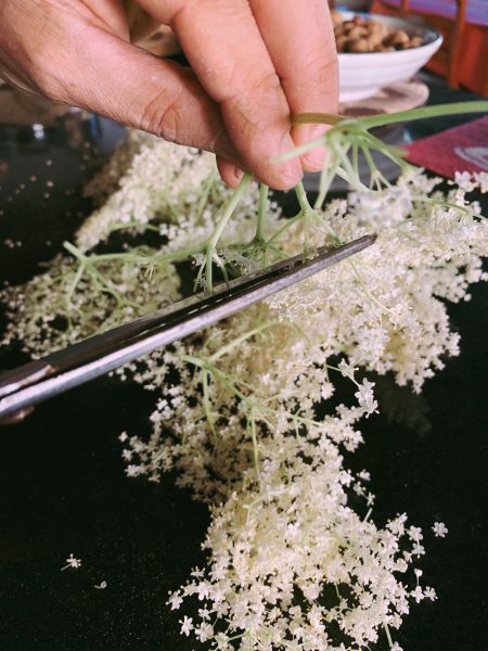Sirop de sureau : recette facile de sirop de sureau à faire chez soi