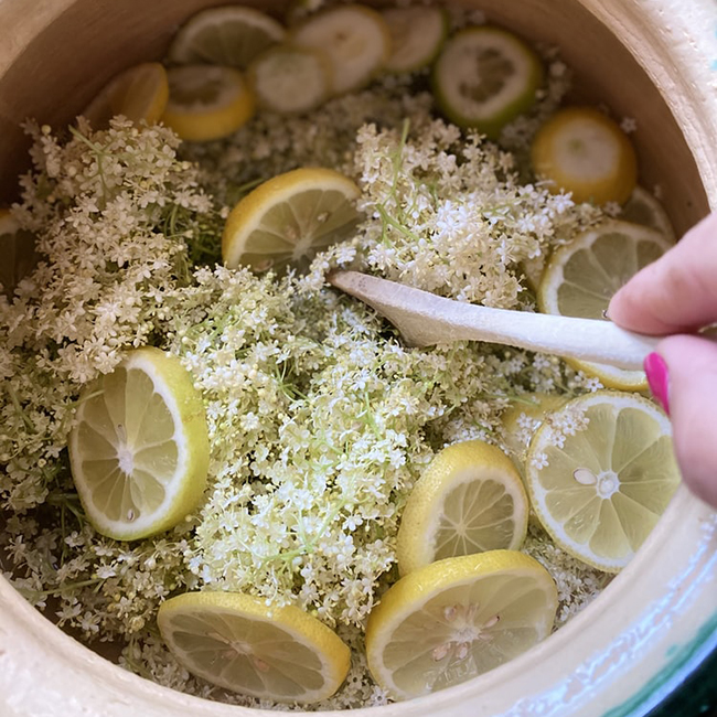 recette de sirop de sureau