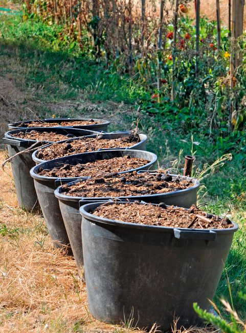 Compost : comment bien fertiliser son sol grâce au compost