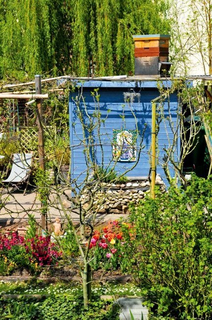 La permaculture : tout savoir sur la méthode de culture qui monte