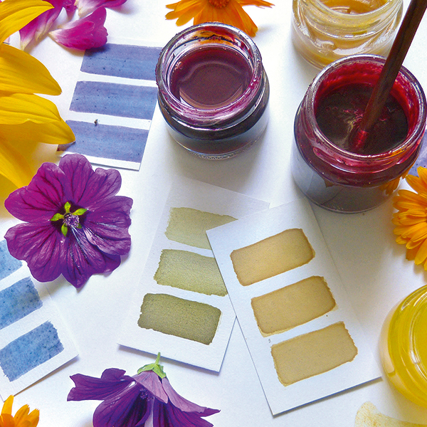 Peinture Naturelle Comment Faire Sa Peinture Maison A Partir De Vegetaux