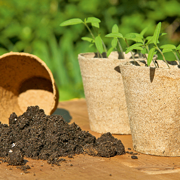 La permaculture : tout savoir sur la méthode de culture qui monte