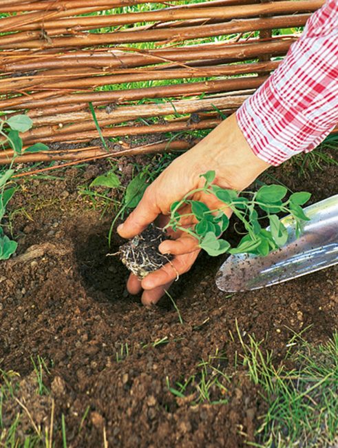 DIY : comment fabriquer une clôture champêtre facilement