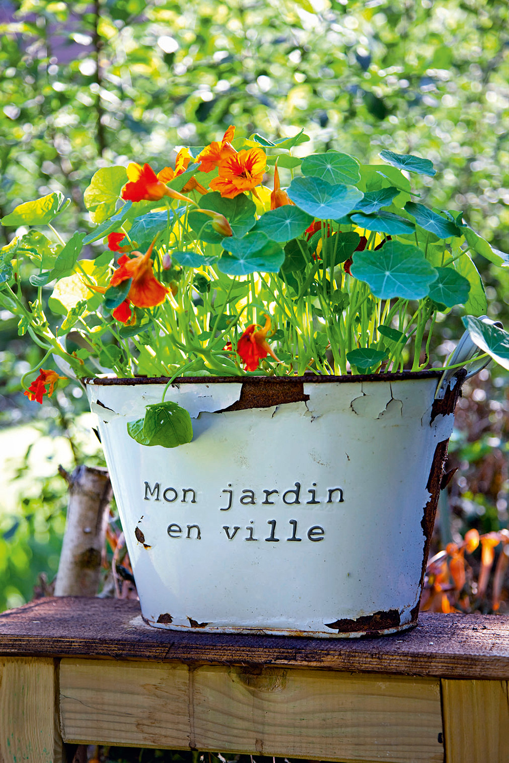 Objet Déco Jardin à Faire Soi même Déco : 12 idées d'objets anciens à récupérer pour décorer son jardin