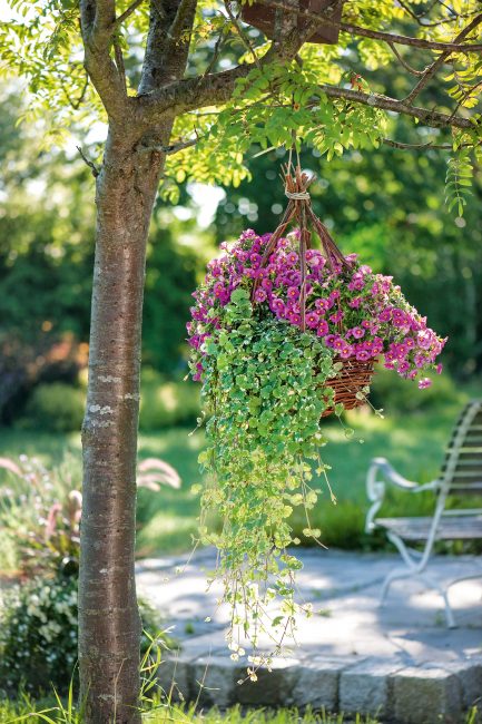 Potées fleuries : 10 idées de pots suspendus pour décorer le jardin