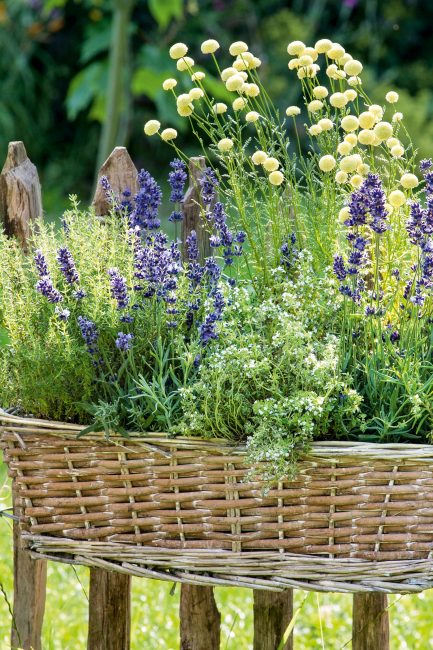 Potées fleuries : 10 idées de pots suspendus pour décorer le jardin