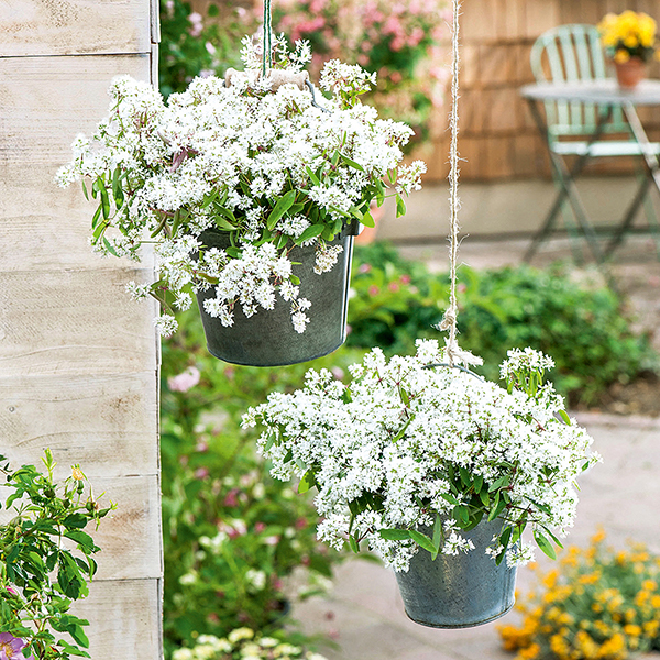 Potées fleuries : 10 idées de pots suspendus pour décorer le jardin