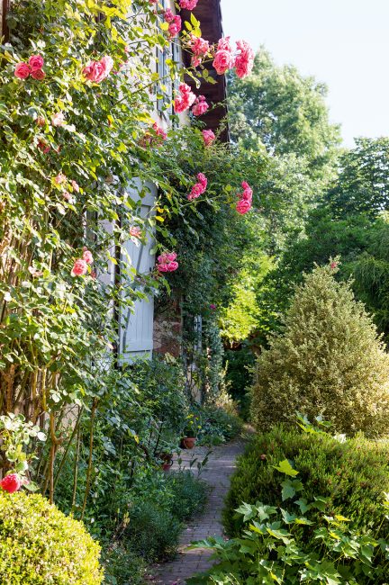 Jardin au naturel : un véritable hymne de campagne