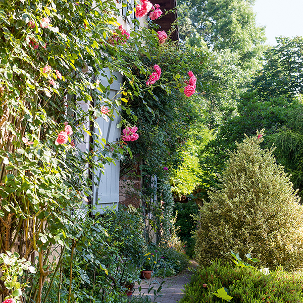 Jardin au naturel : un véritable hymne de campagne