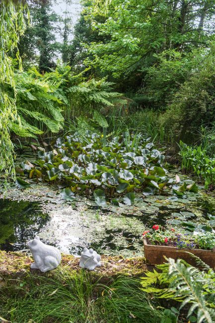 Jardin au naturel : un véritable hymne de campagne