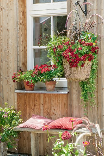 Potées fleuries : 10 idées de pots suspendus pour décorer le jardin