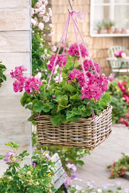 Potées fleuries : 10 idées de pots suspendus pour décorer le jardin