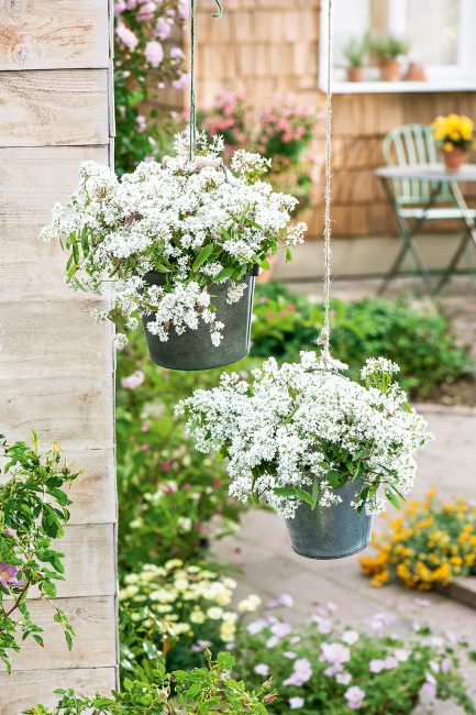 Potées fleuries : 10 idées de pots suspendus pour décorer le jardin