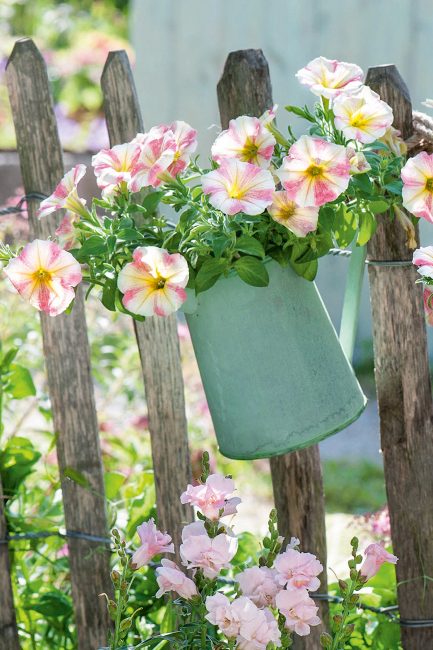 Potées fleuries : 10 idées de pots suspendus pour décorer le jardin