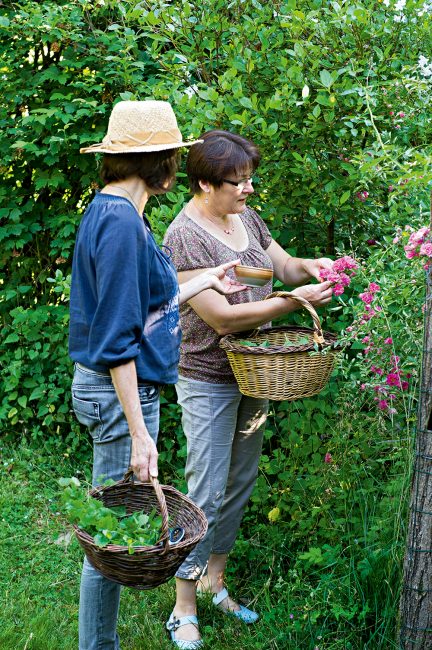 Comment cuisiner des fleurs ?