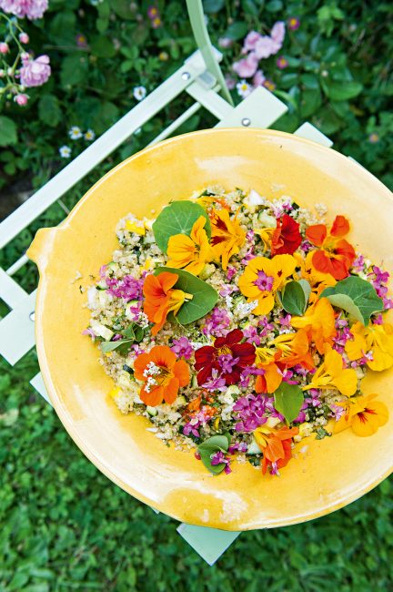 Comment cuisiner des fleurs ?