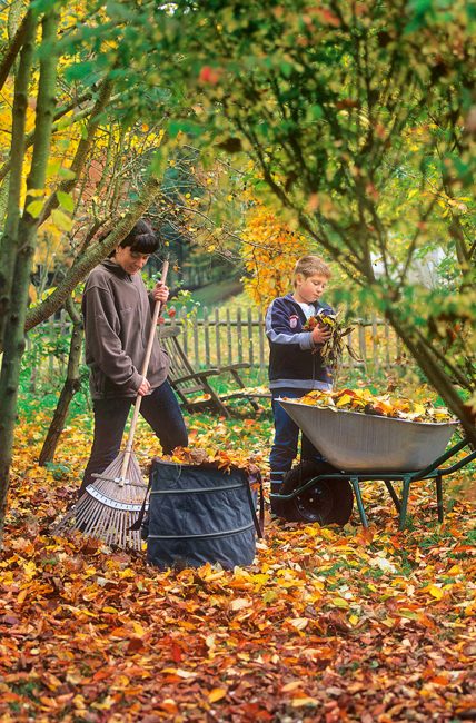 Feuilles mortes d'automne : que faire avec et quels sont leurs bénéfices ?