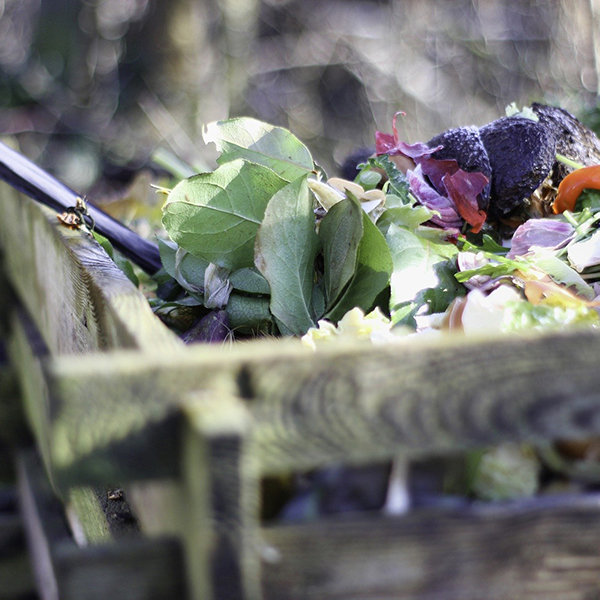 Comment réussir son compost ?