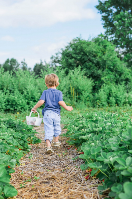 Jardinage : avec les enfants apprenez à récolter des graines de