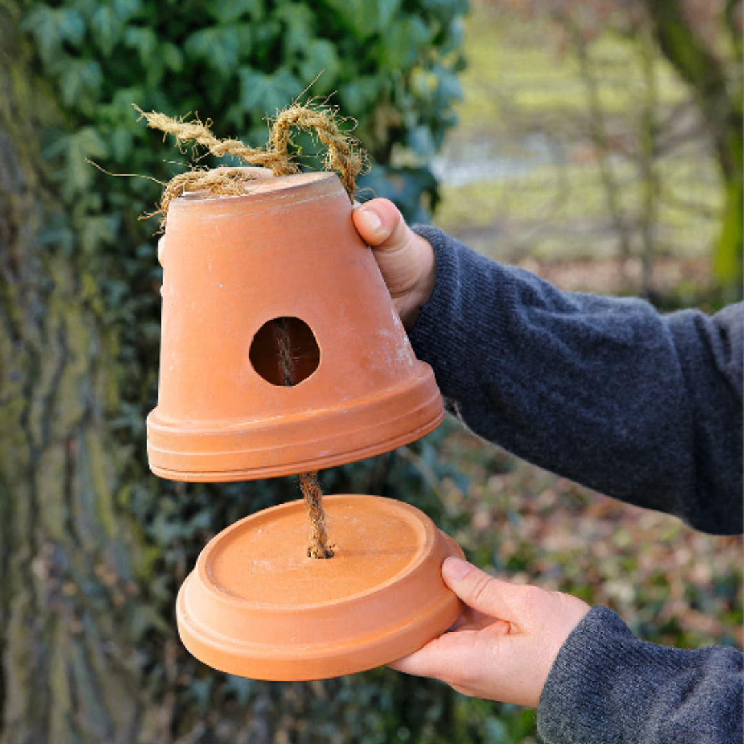 5 idées DIY de pots pour plantes récup et recyclés